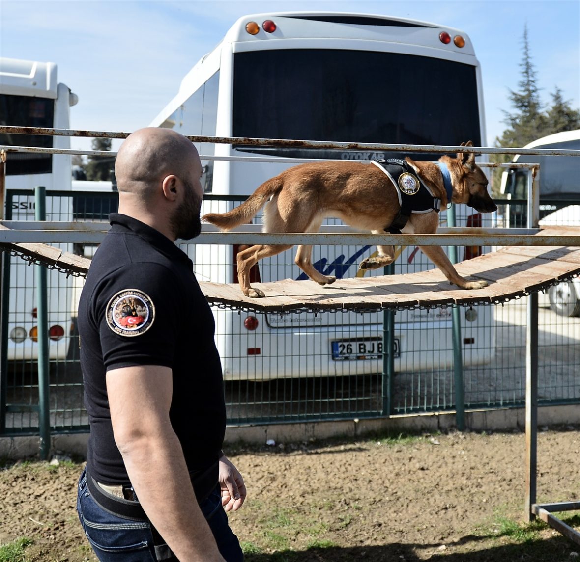 Polis köpeği Lady &quot;siciline&quot; 2,5 ton uyuşturucu yazdırdı. Eskişehir