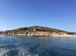 Koyun Adası