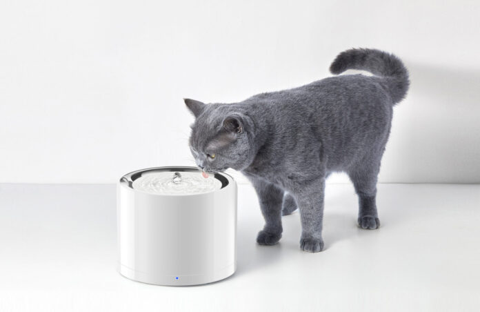1782740462_petkit